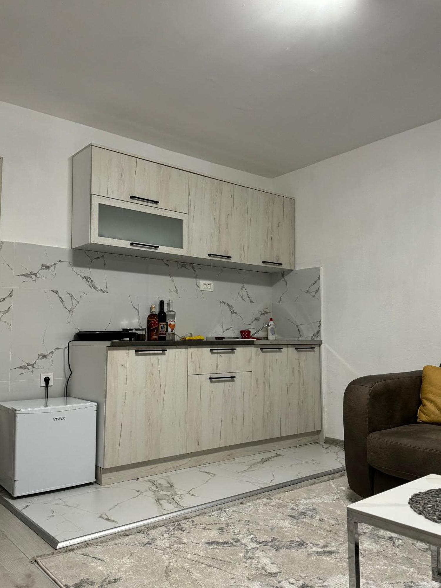Apartment Airport Dd Mitrovici  Bagian luar foto